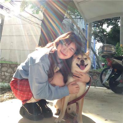 婚后强宠，总裁大人超给力